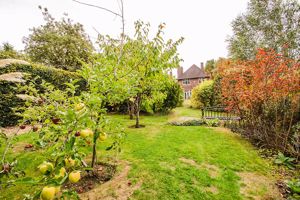 Photo 27- click for photo gallery